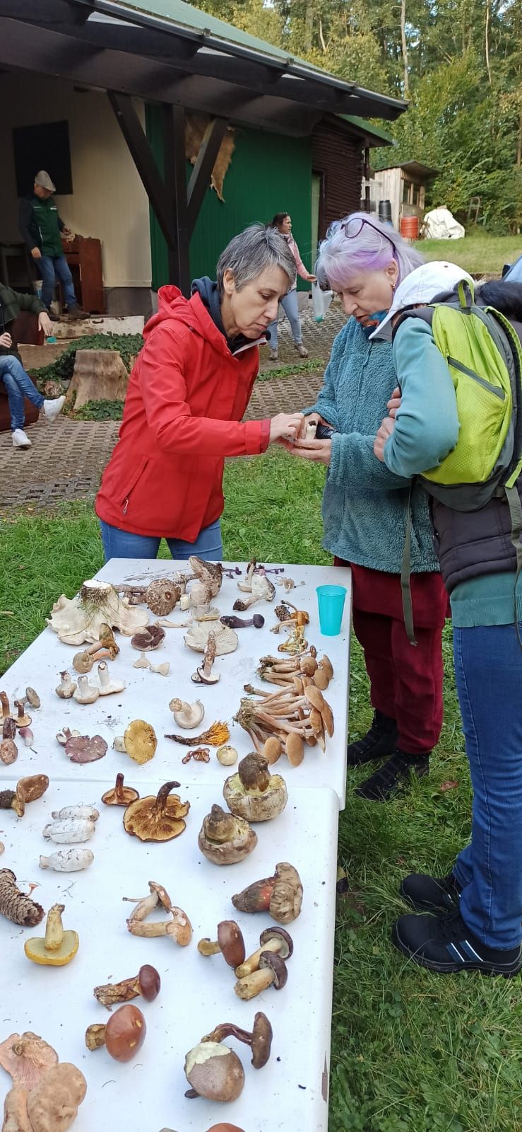 Titelbild der Veranstaltung