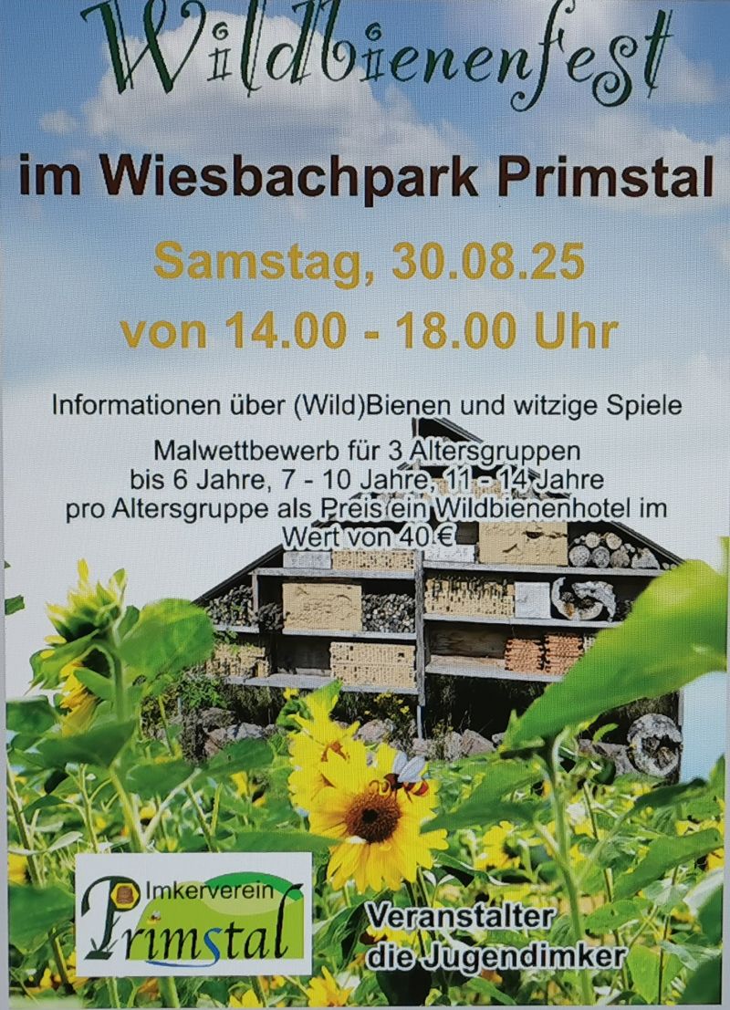 News-Beitrag mit Titel Wildbienenfest 