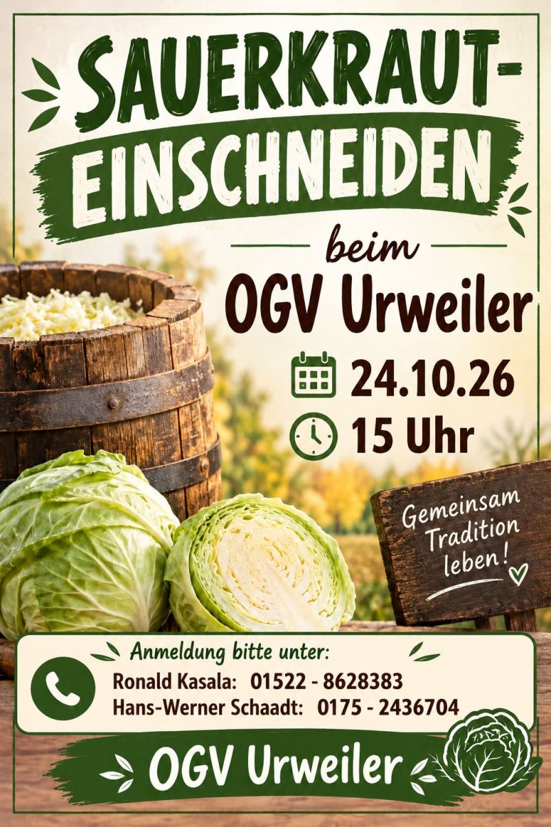 News-Beitrag mit Titel Sauerkraut-Einschneiden beim OGV Urweiler 