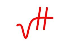 Profilbild des Vereins Die VielHarmonie e.V.