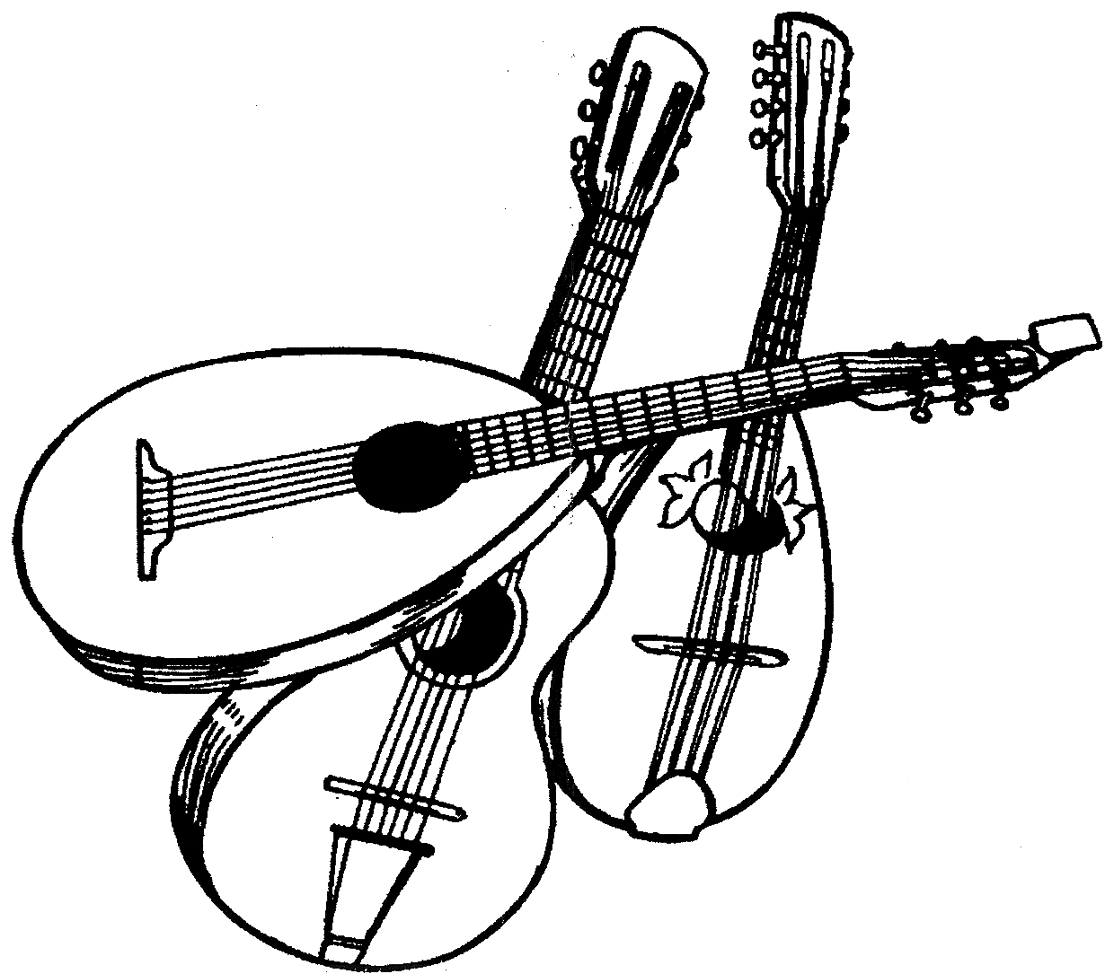 Profilbild des Vereins Mandolinenverein Bliesen